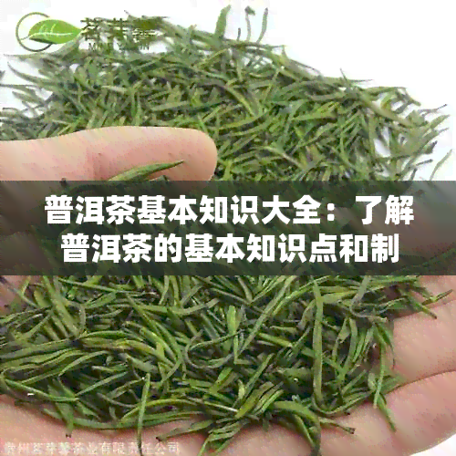 普洱茶基本知识大全：了解普洱茶的基本知识点和制作工艺。