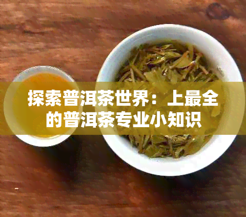 探索普洱茶世界：上最全的普洱茶专业小知识