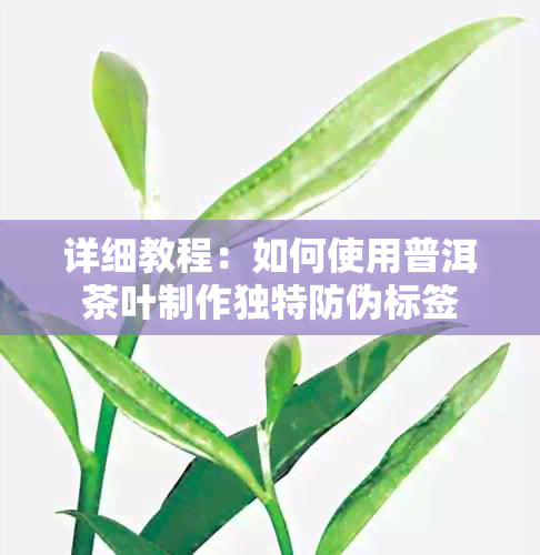 详细教程：如何使用普洱茶叶制作独特防伪标签