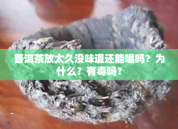 普洱茶放太久没味道还能喝吗？为什么？有吗？