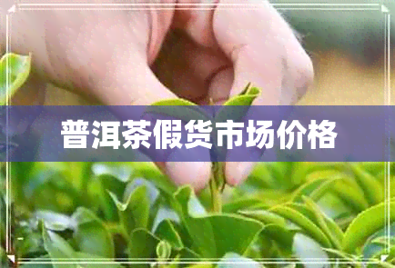 普洱茶假货市场价格