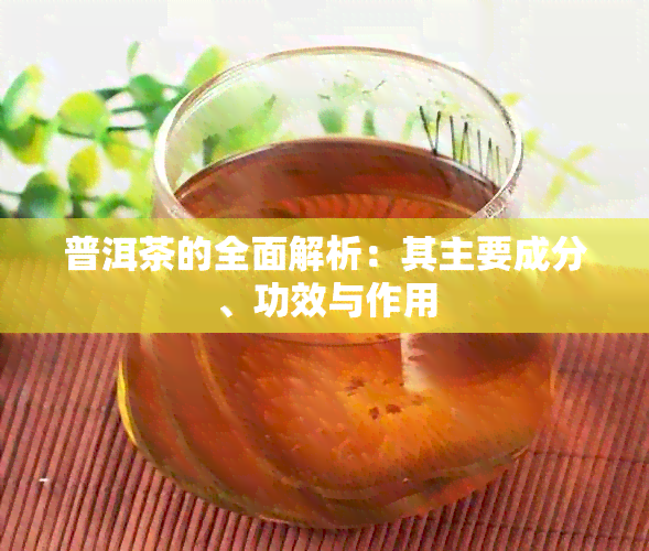 普洱茶的全面解析：其主要成分、功效与作用