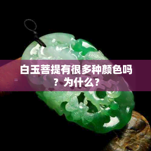 白玉菩提有很多种颜色吗？为什么？