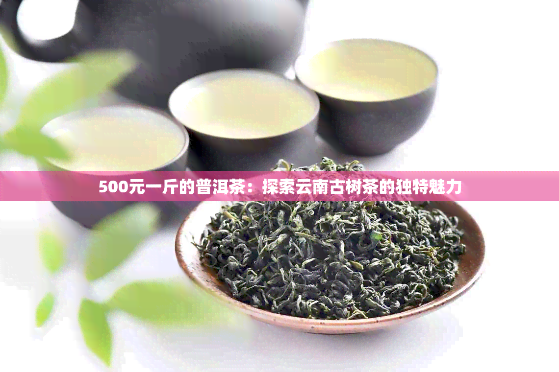 500元一斤的普洱茶：探索云南古树茶的独特魅力