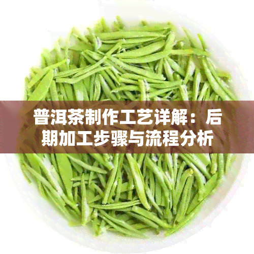 普洱茶制作工艺详解：后期加工步骤与流程分析