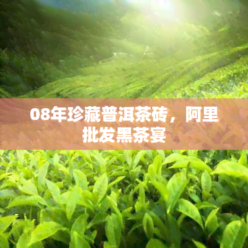 08年珍藏普洱茶砖，阿里批发黑茶宴