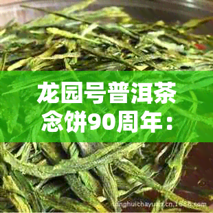 龙园号普洱茶念饼90周年：60年品质见证，传承与创新的完美结合