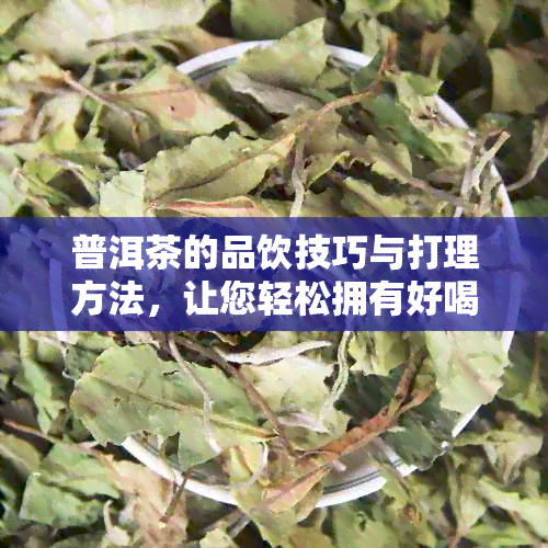 普洱茶的品饮技巧与打理方法，让您轻松拥有好喝的普洱茶