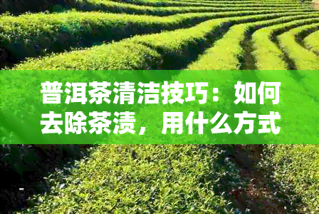 普洱茶清洁技巧：如何去除茶渍，用什么方式最有效？