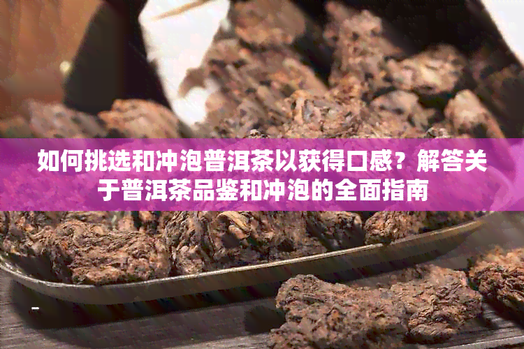 如何挑选和冲泡普洱茶以获得口感？解答关于普洱茶品鉴和冲泡的全面指南