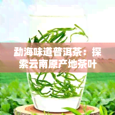 勐海味道普洱茶：探索云南原产地茶叶的魅力，品味独特风味与文化底蕴