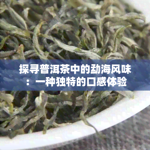 探寻普洱茶中的勐海风味：一种独特的口感体验