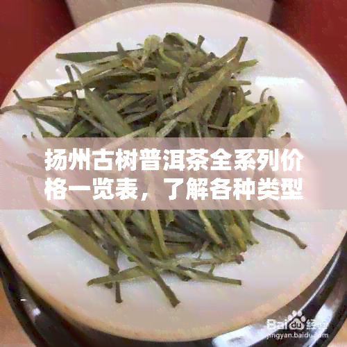 扬州古树普洱茶全系列价格一览表，了解各种类型和年份的价格信息