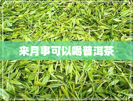 来月事可以喝普洱茶