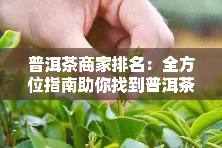 普洱茶商家排名：全方位指南助你找到普洱茶和购买渠道