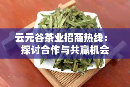 云元谷茶业招商热线： 探讨合作与共赢机会