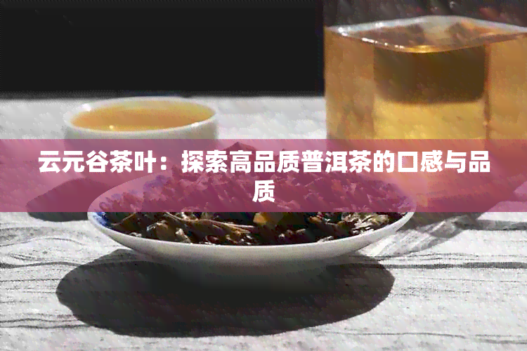 云元谷茶叶：探索高品质普洱茶的口感与品质