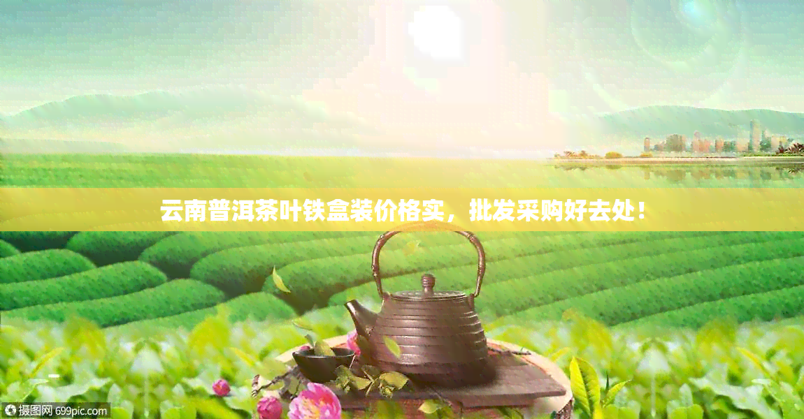 云南普洱茶叶铁盒装价格实，批发采购好去处！