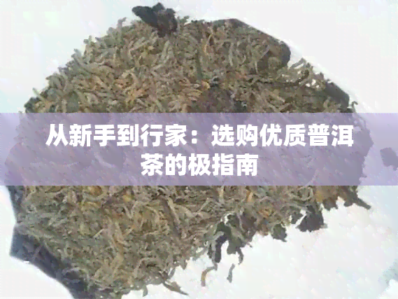 从新手到行家：选购优质普洱茶的极指南