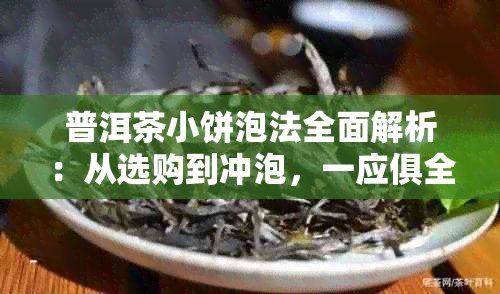 普洱茶小饼泡法全面解析：从选购到冲泡，一应俱全的详细步骤及技巧