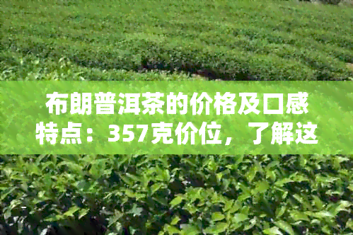 布朗普洱茶的价格及口感特点：357克价位，了解这款茶的全部价值与特色