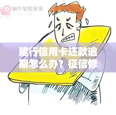 建行信用卡还款逾期怎么办？修复流程全解析