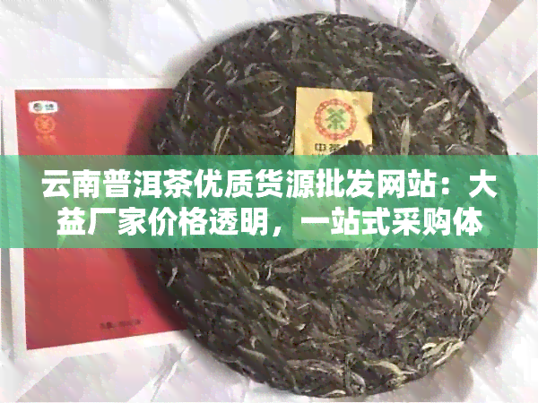 云南普洱茶优质货源批发网站：大益厂家价格透明，一站式采购体验