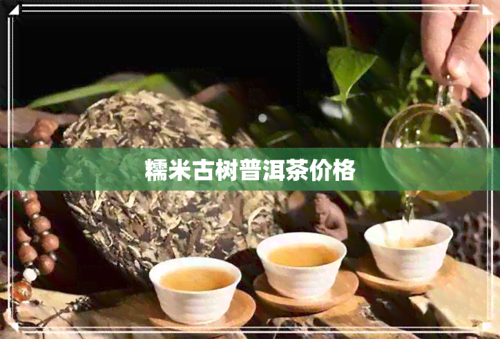 糯米古树普洱茶价格