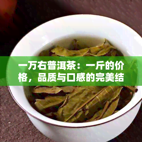 一万右普洱茶：一斤的价格，品质与口感的完美结合