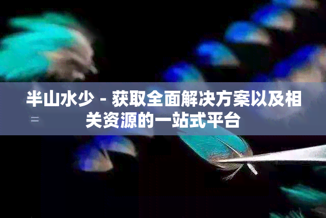 半山水少 - 获取全面解决方案以及相关资源的一站式平台