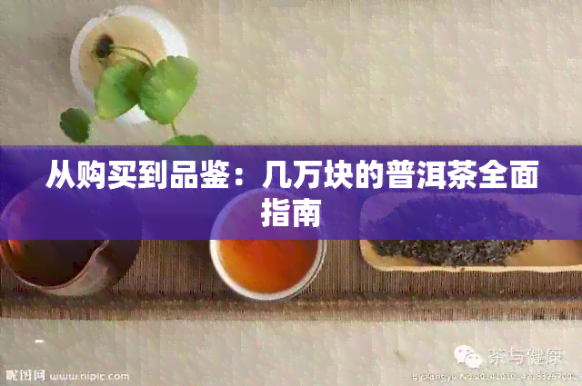 从购买到品鉴：几万块的普洱茶全面指南