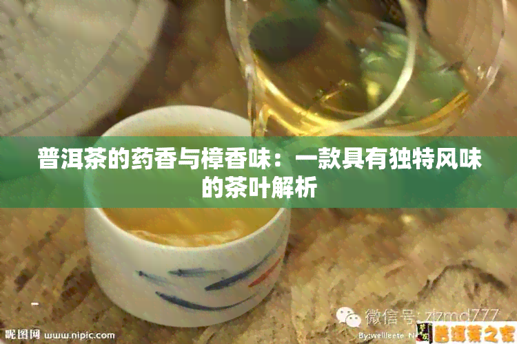 普洱茶的香与樟香味：一款具有独特风味的茶叶解析