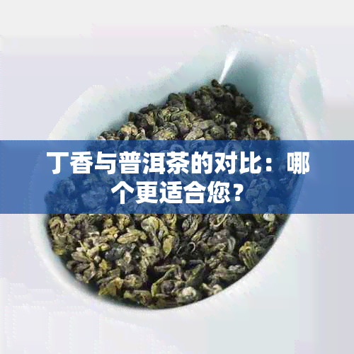 丁香与普洱茶的对比：哪个更适合您？