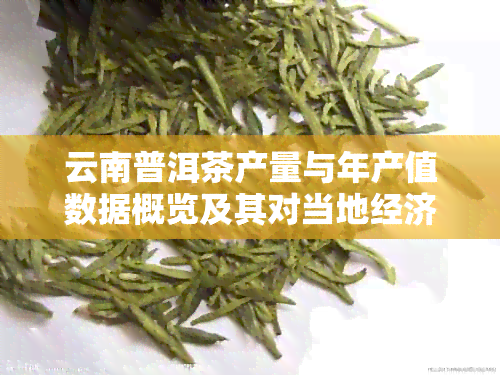 云南普洱茶产量与年产值数据概览及其对当地经济的影响