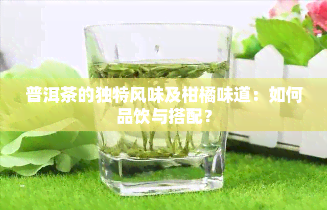 普洱茶的独特风味及柑橘味道：如何品饮与搭配？