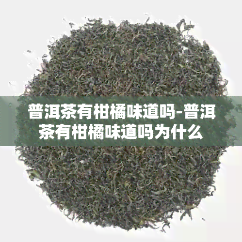 普洱茶有柑橘味道吗-普洱茶有柑橘味道吗为什么