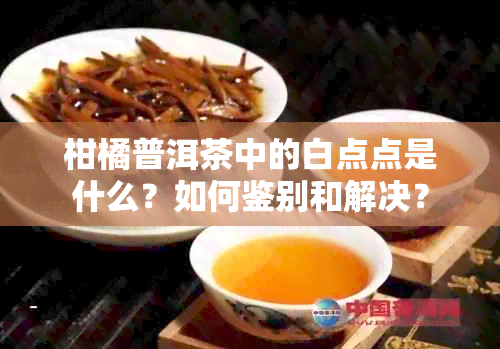 柑橘普洱茶中的白点点是什么？如何鉴别和解决？