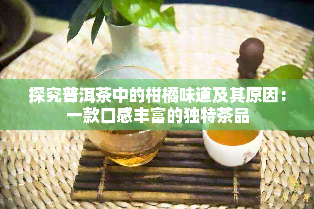 探究普洱茶中的柑橘味道及其原因：一款口感丰富的独特茶品