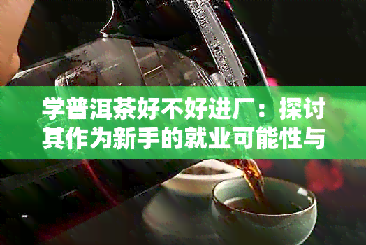 学普洱茶好不好进厂：探讨其作为新手的就业可能性与前景