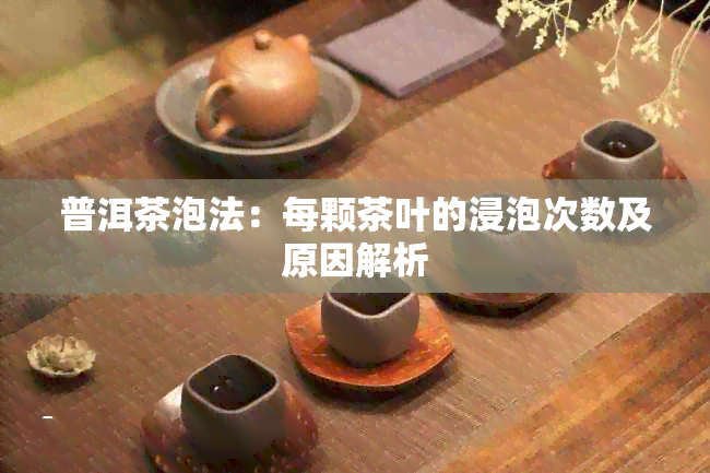 普洱茶泡法：每颗茶叶的浸泡次数及原因解析