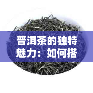 普洱茶的独特魅力：如何搭配食材提升口感