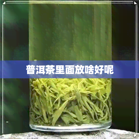 普洱茶里面放啥好呢