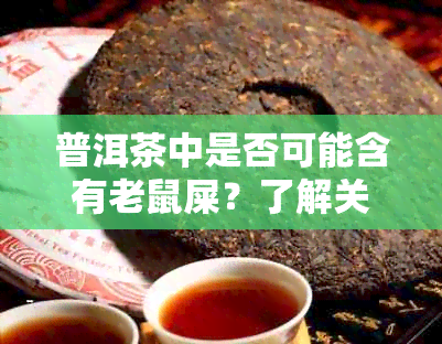 普洱茶中是否可能含有老鼠屎？了解关于普洱茶质量和生的全面信息