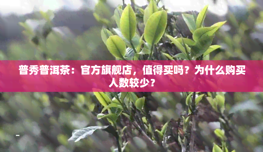 普秀普洱茶：官方旗舰店，值得买吗？为什么购买人数较少？