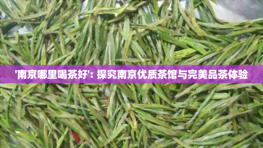 '南京哪里喝茶好': 探究南京优质茶馆与完美品茶体验