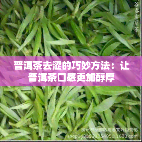 普洱茶去涩的巧妙方法：让普洱茶口感更加醇厚