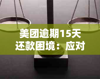 美团逾期15天还款困境：应对策略与后果分析