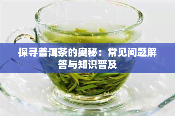 探寻普洱茶的奥秘：常见问题解答与知识普及