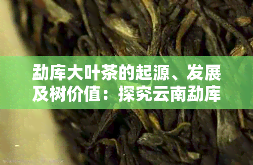 勐库大叶茶的起源、发展及树价值：探究云南勐库茶叶多样的历沿革