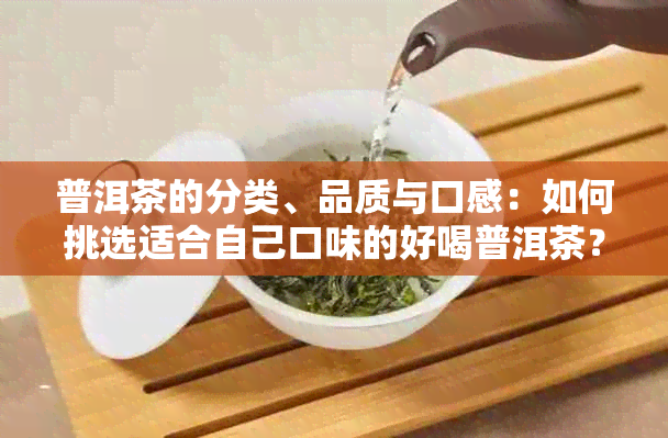 普洱茶的分类、品质与口感：如何挑选适合自己口味的好喝普洱茶？